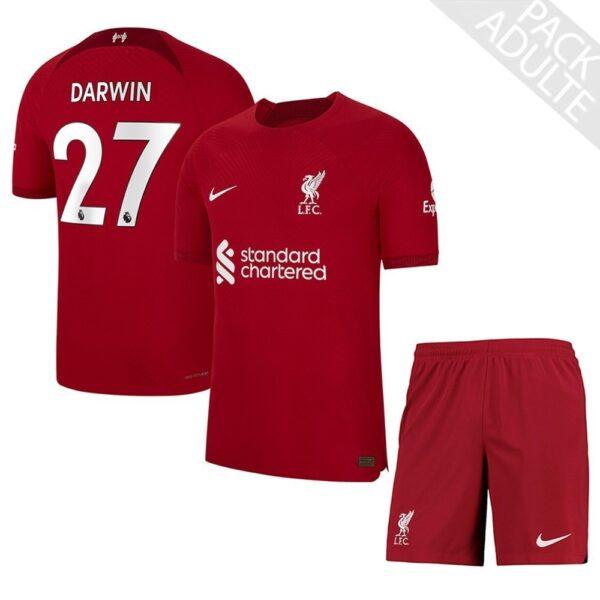 PACK LIVERPOOL DOMICILE DARWIN ADULTE 2022-2023