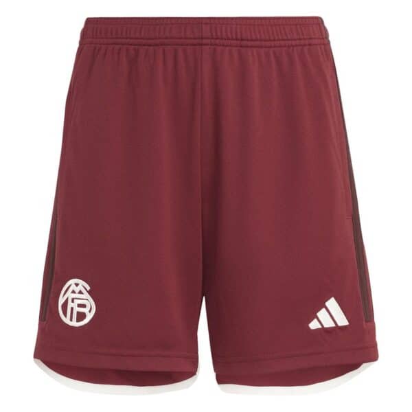PACK BAYERN MUNICH THIRD MUSIALA 2023-2024